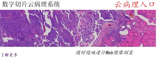 index_2.jpg