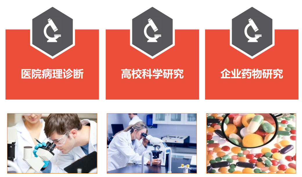 数字病理扫描仪应用领域